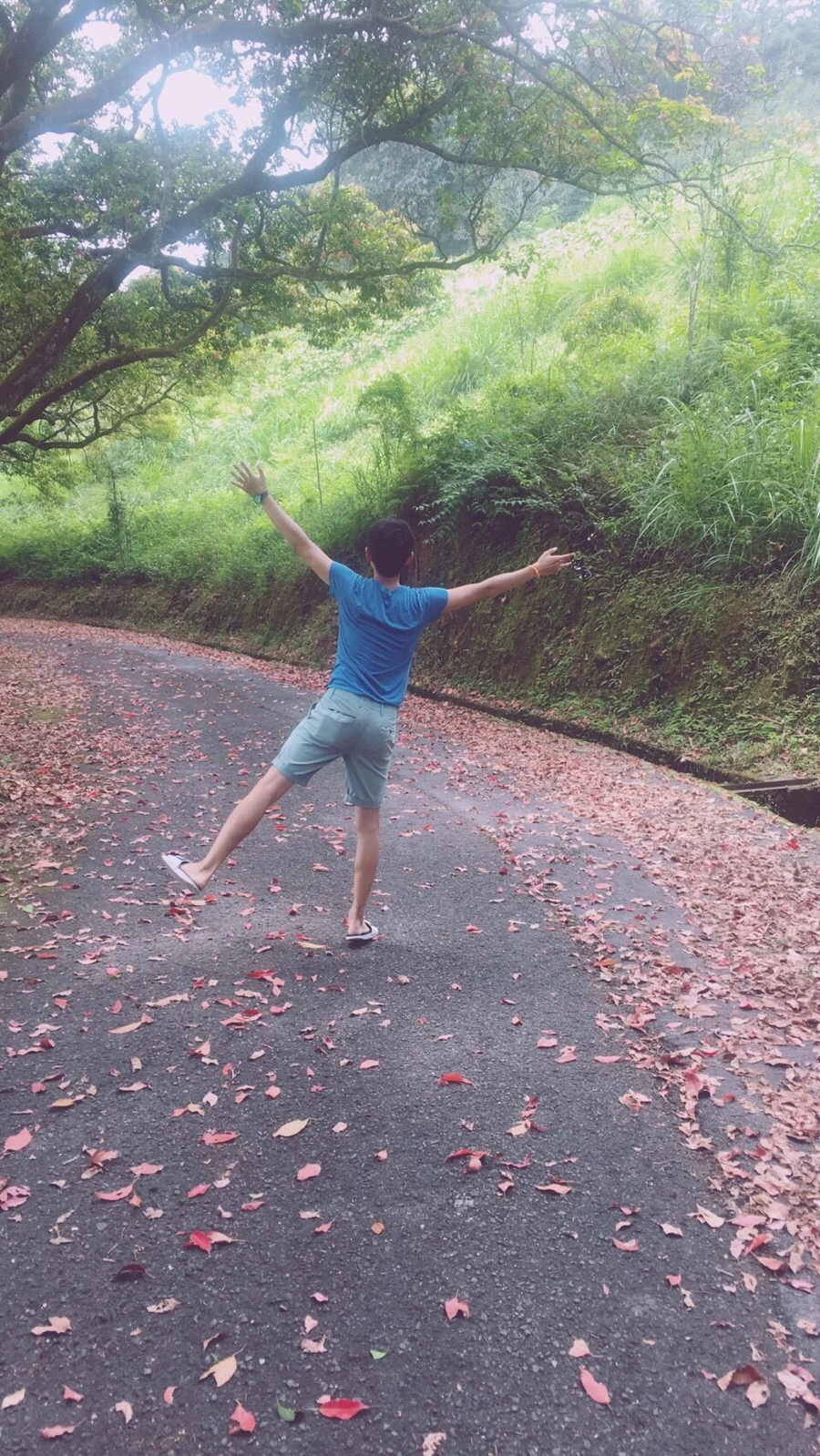 IMG_3480.jpg?type=w966