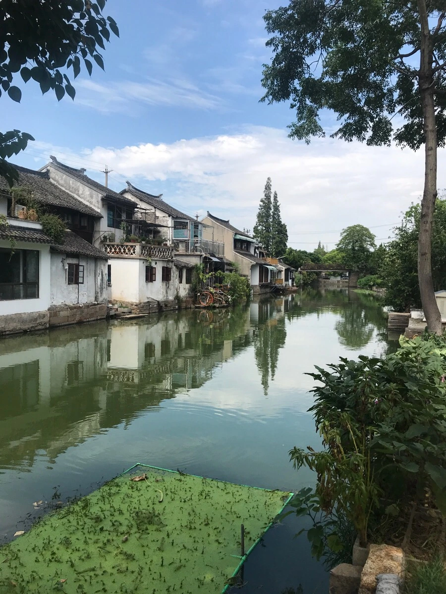 IMG_1404.jpg?type=w1