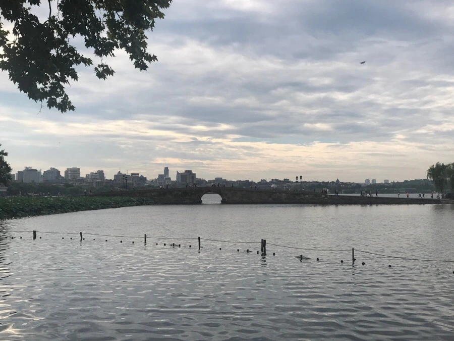 IMG_1068.jpg?type=w966