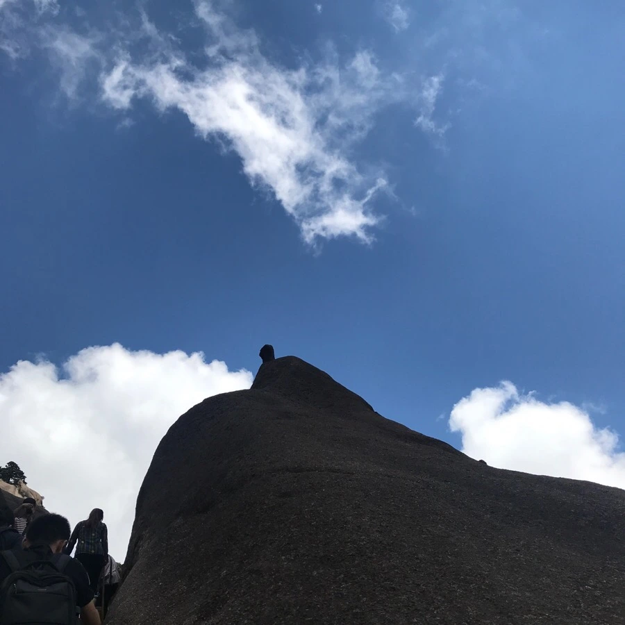 IMG_0859.jpg?type=w966