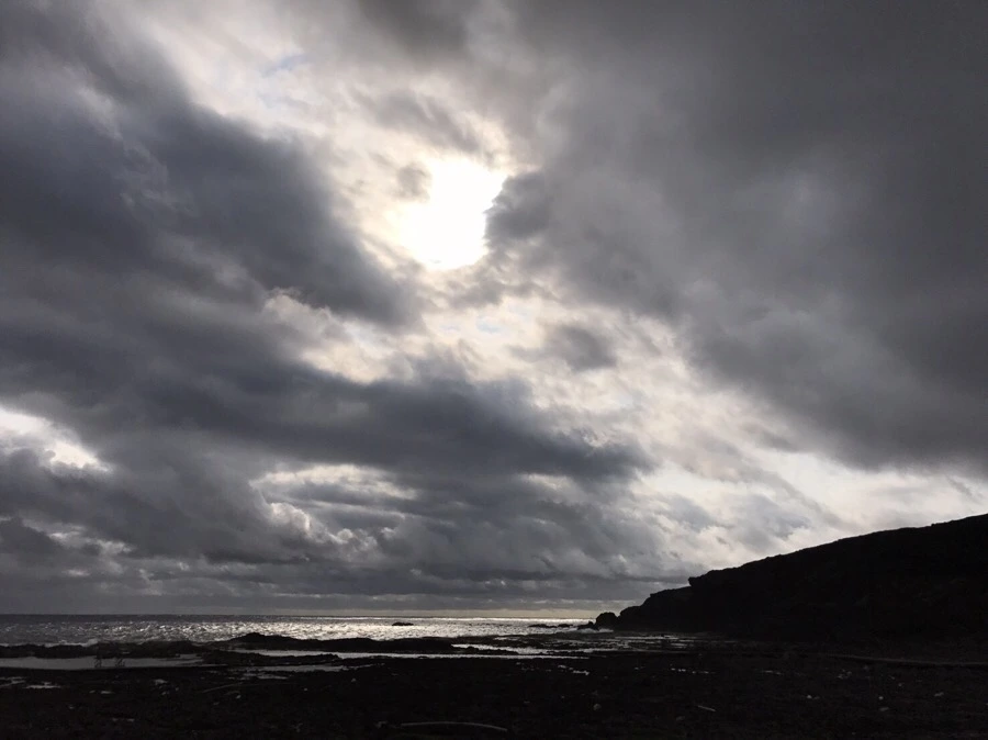 IMG_1966.jpg?type=w966