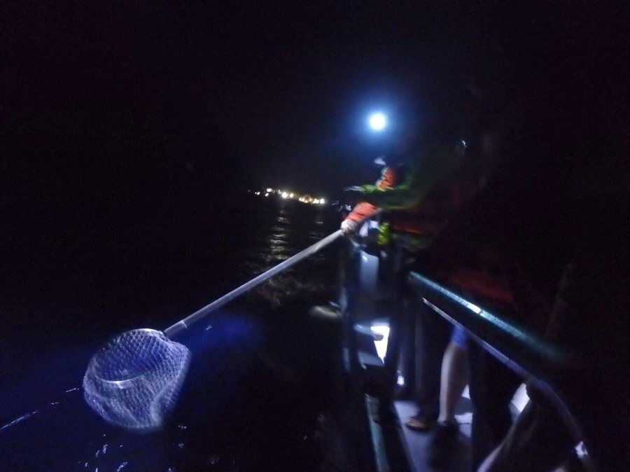 IMG_3957.jpg?type=w966