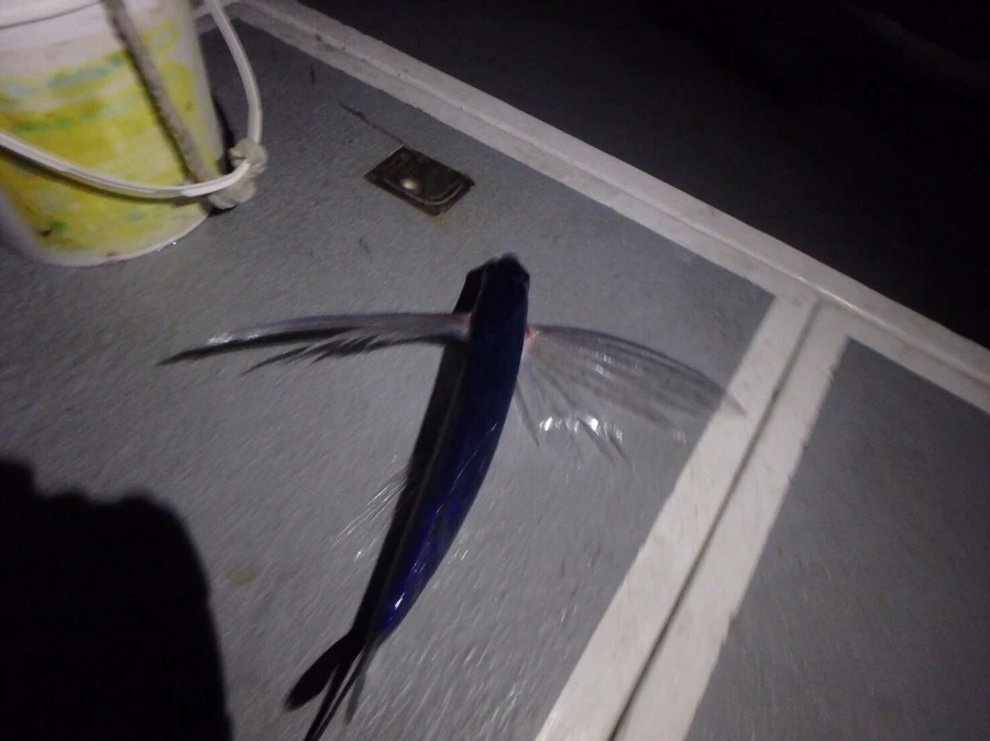 IMG_3958.jpg?type=w966