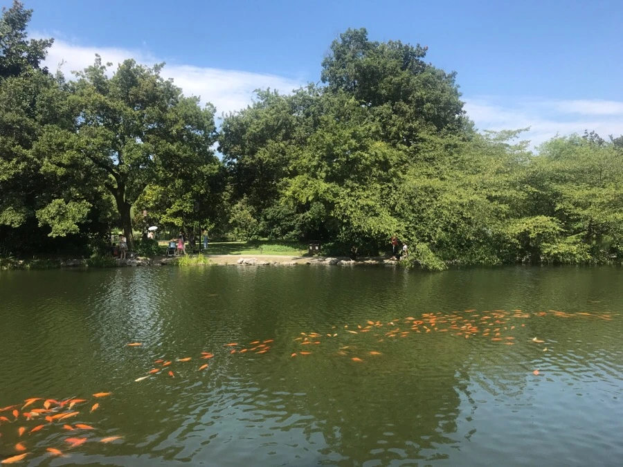 IMG_1206.jpg?type=w1