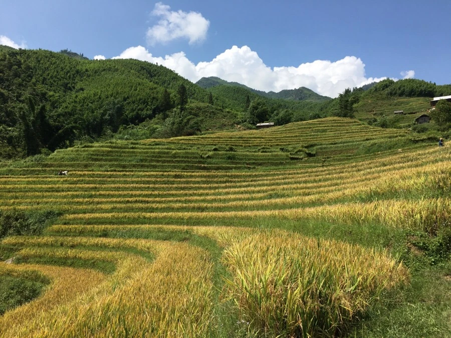 IMG_3546.JPG?type=w1