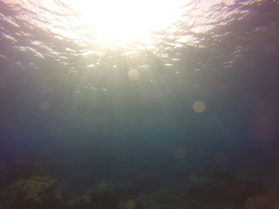 IMG_3574.jpg?type=w966