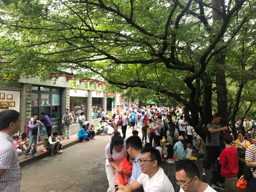 IMG_0781.jpg?type=w966