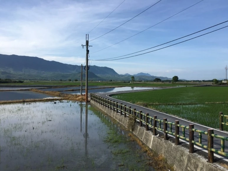 attachImage_2333987198.jpeg?type=w773