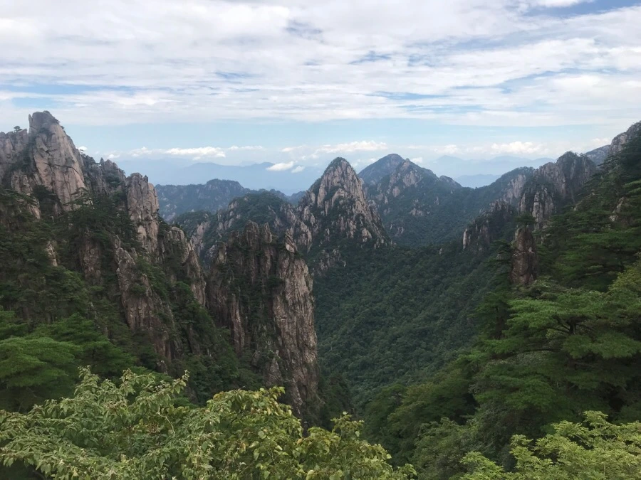 IMG_0735.jpg?type=w966