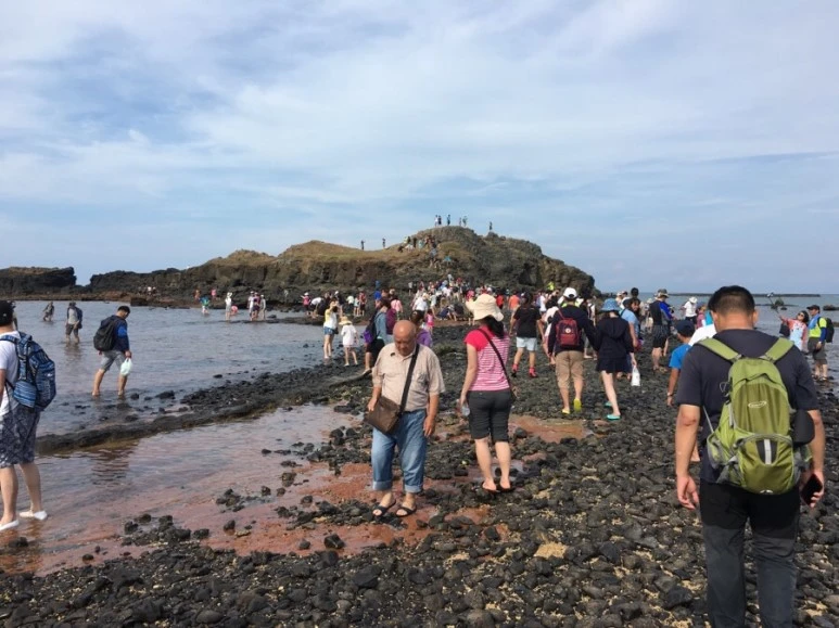 attachImage_910092335.jpeg?type=w773