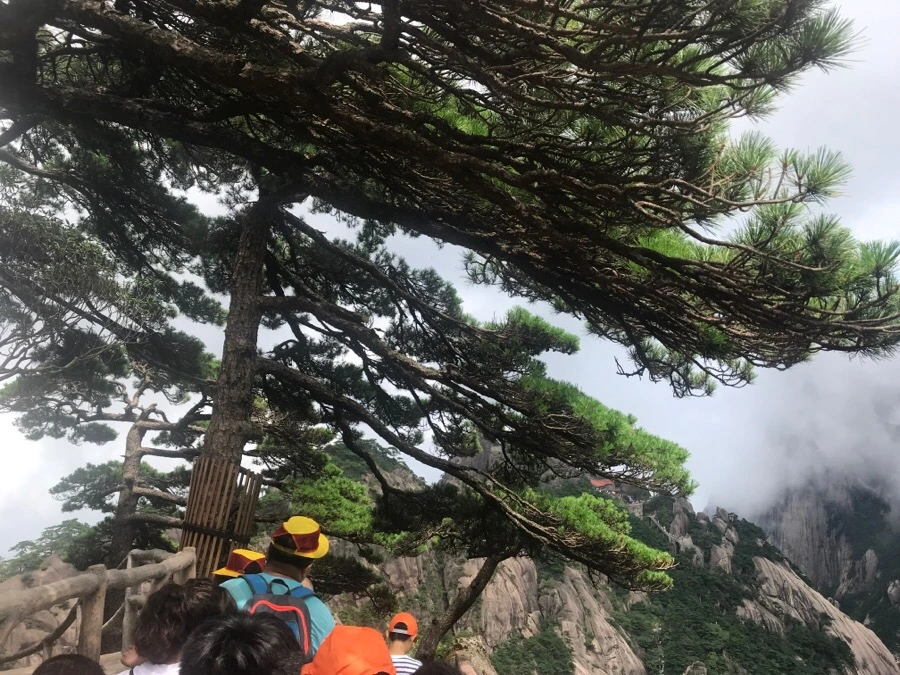 IMG_0887.jpg?type=w966