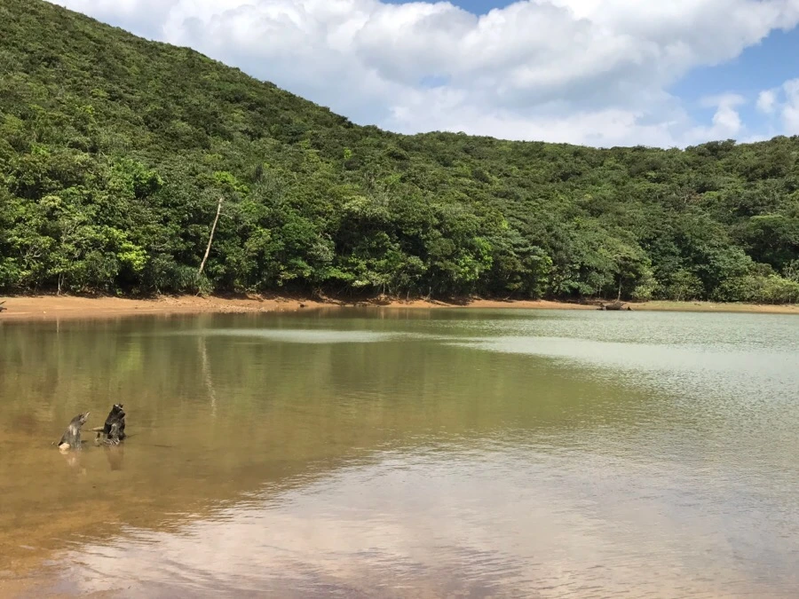 IMG_3667.jpg?type=w966