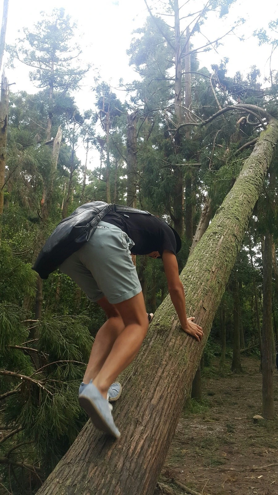 IMG_4251.JPG?type=w966