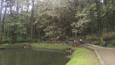 IMAG4910.jpg?type=w773