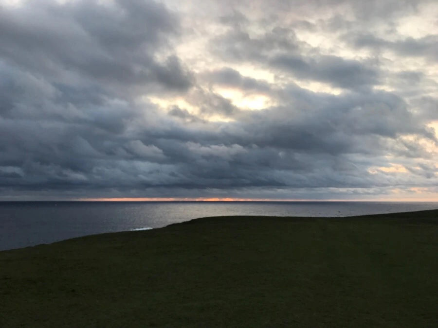 IMG_1522.jpg?type=w966