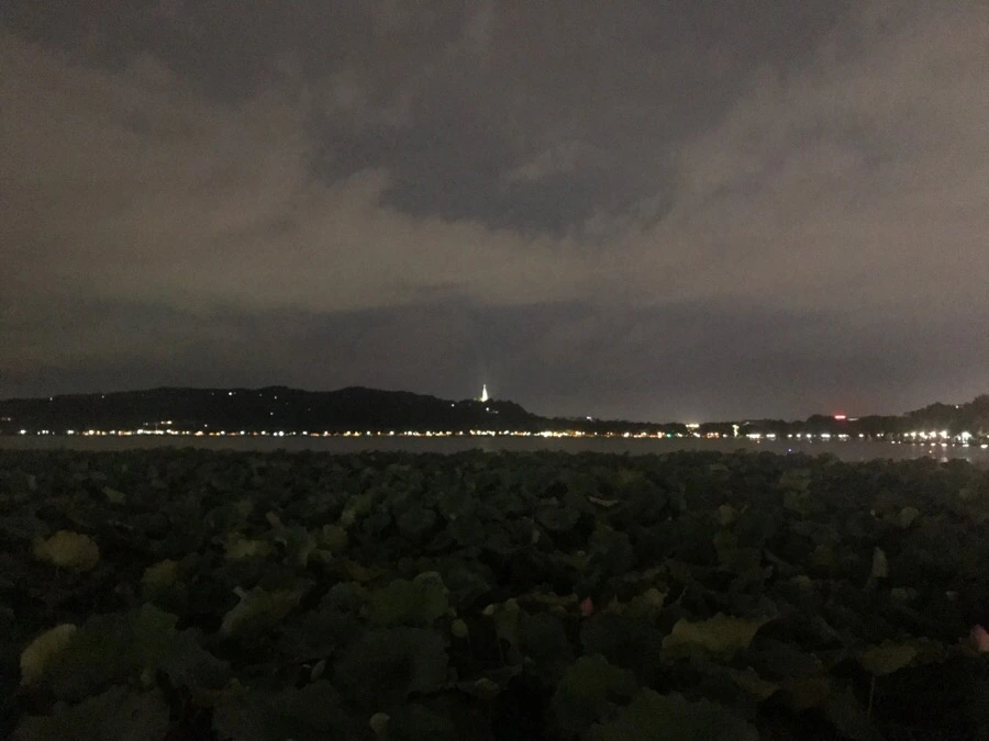 IMG_1008.jpg?type=w966