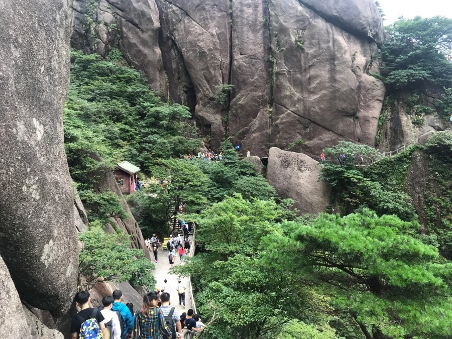 IMG_0846.jpg?type=w966