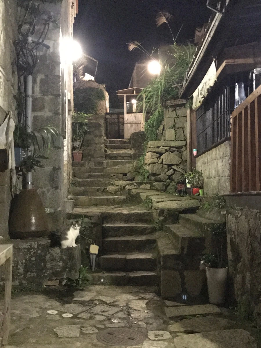 IMG_8675.jpg?type=w966