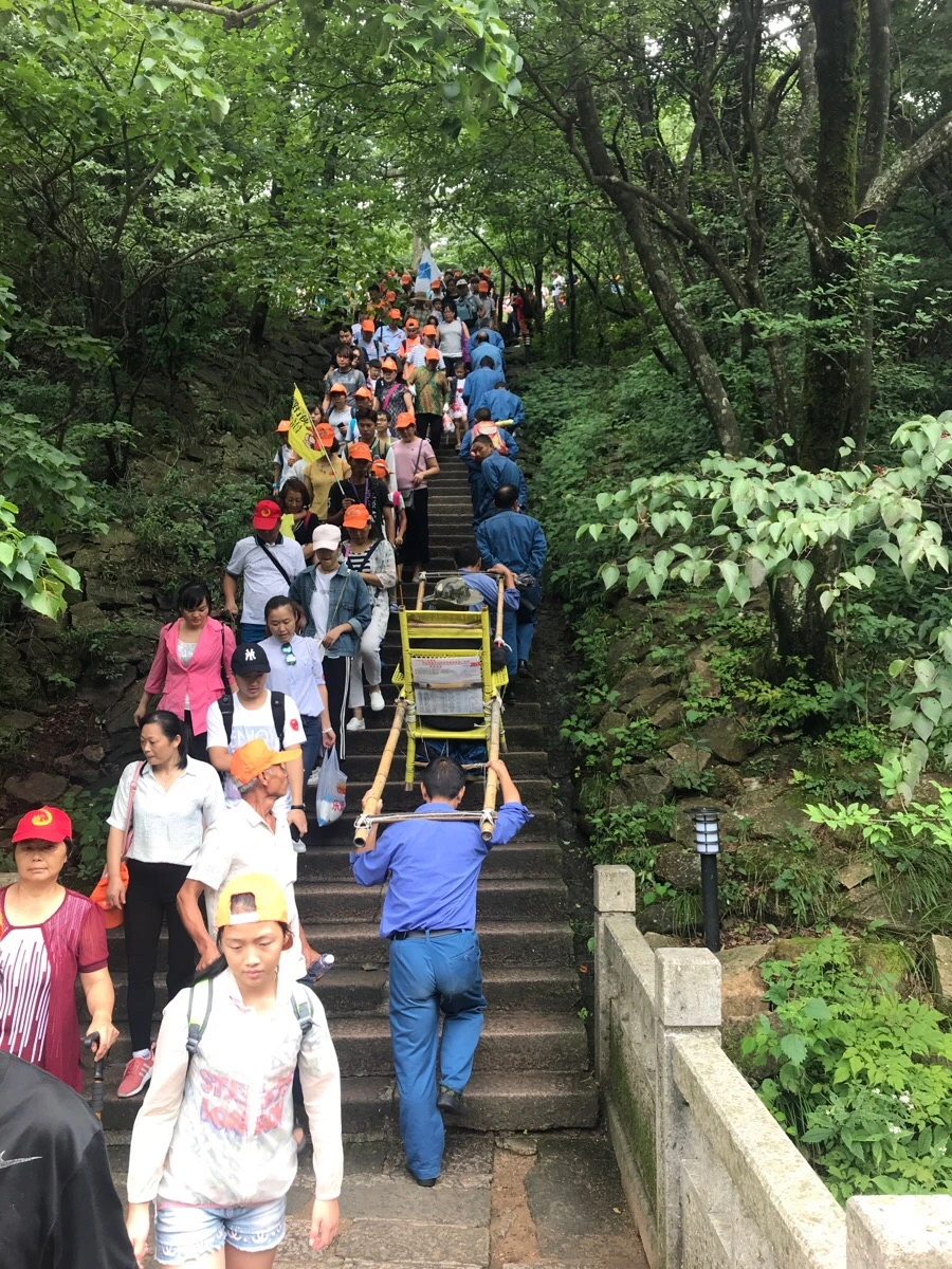 IMG_0729.jpg?type=w966