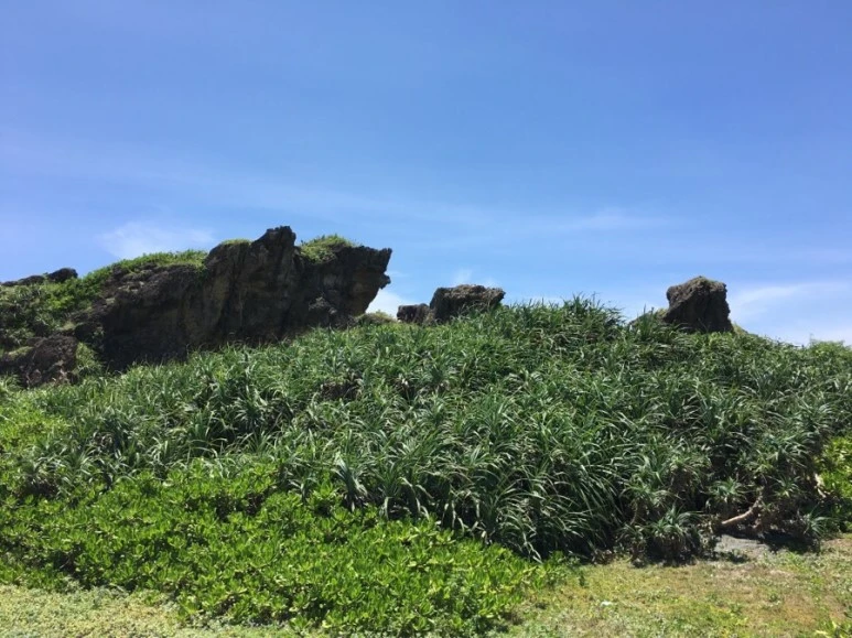 attachImage_147559902.jpeg?type=w773