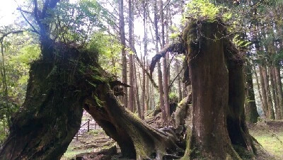 IMAG4922.jpg?type=w773