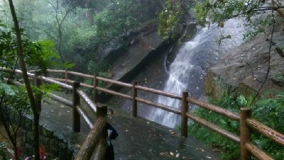 IMAG6118.jpg?type=w773