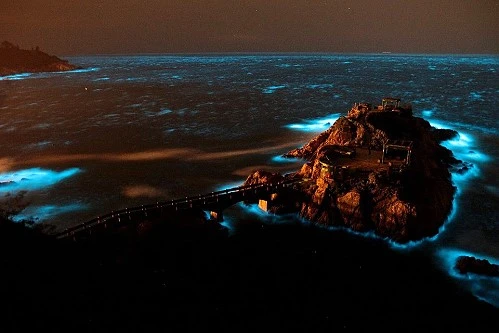 152695.jpg?type=w966