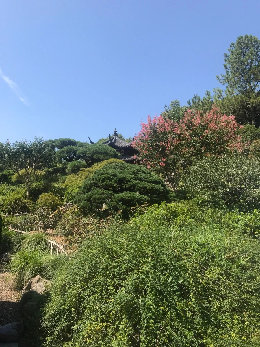 IMG_1210.jpg?type=w1