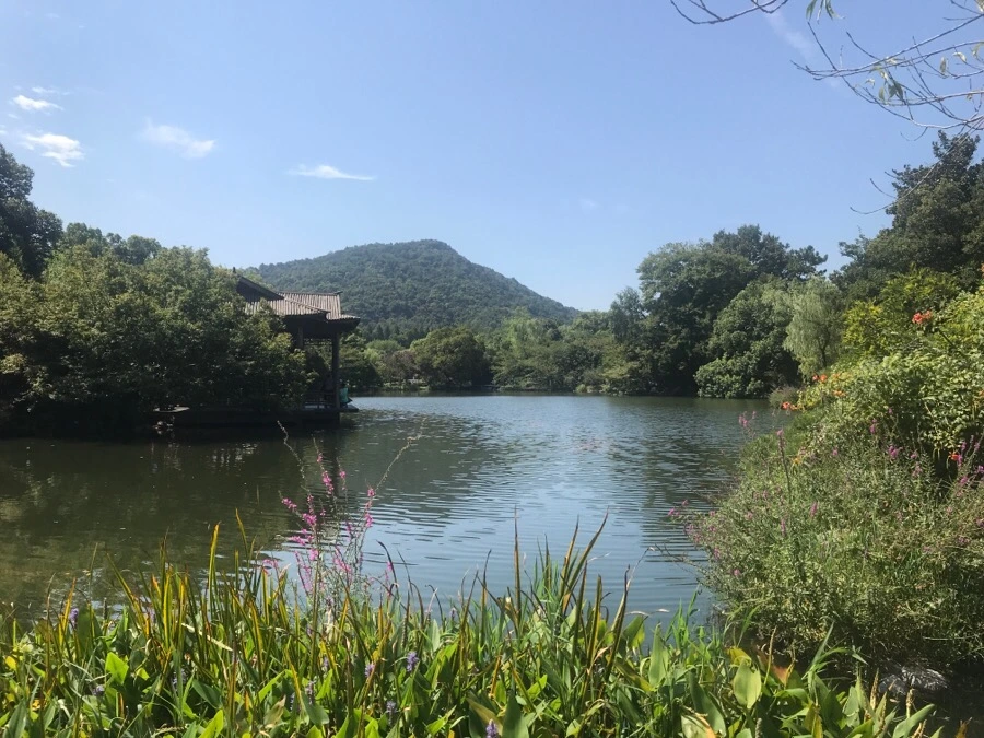 IMG_1207.jpg?type=w1