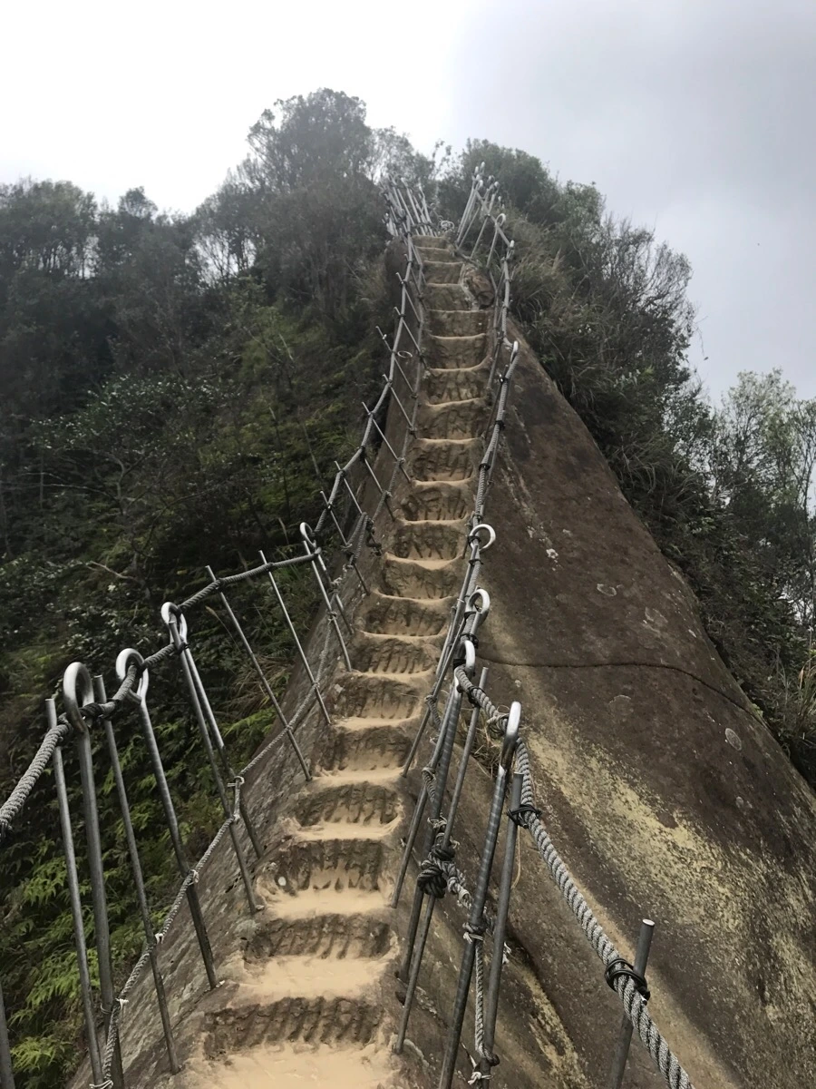 IMG_1069.jpg?type=w966