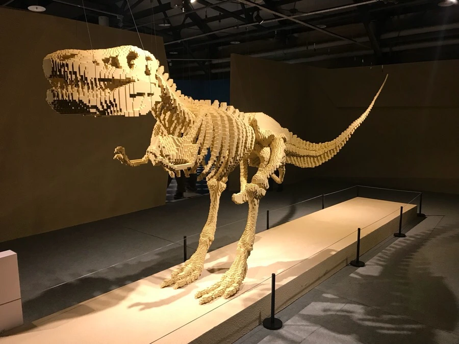 IMG_9305.jpg?type=w966