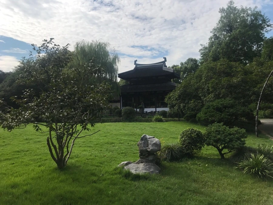 IMG_1126.jpg?type=w966