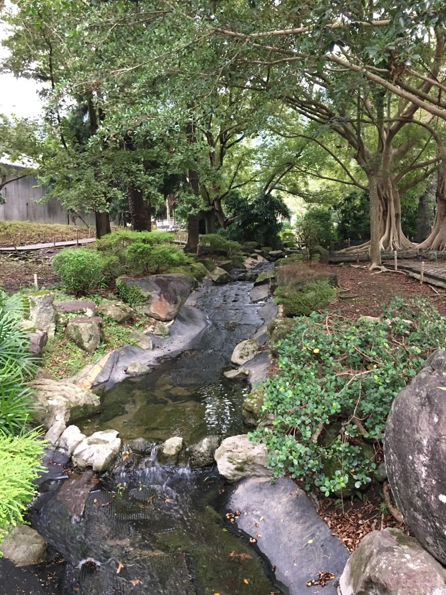 attachImage_3646571154.jpeg?type=w966