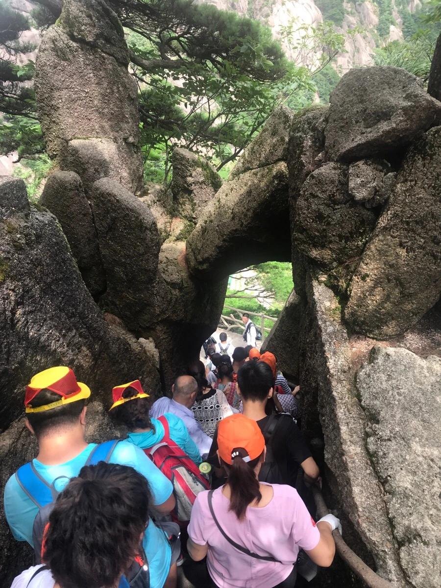 IMG_0888.jpg?type=w966