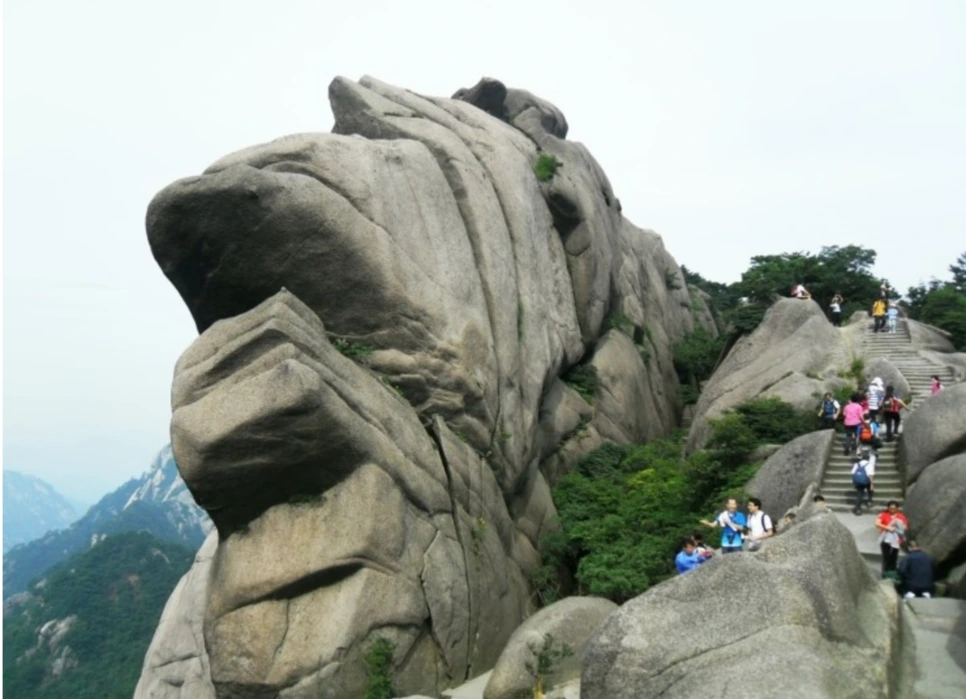 Screen_Shot_2018-10-09_at_5.16.27_PM.png?type=w966