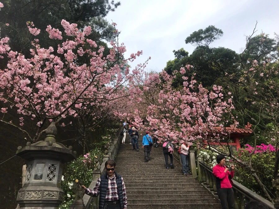 IMG_0016.jpg?type=w966