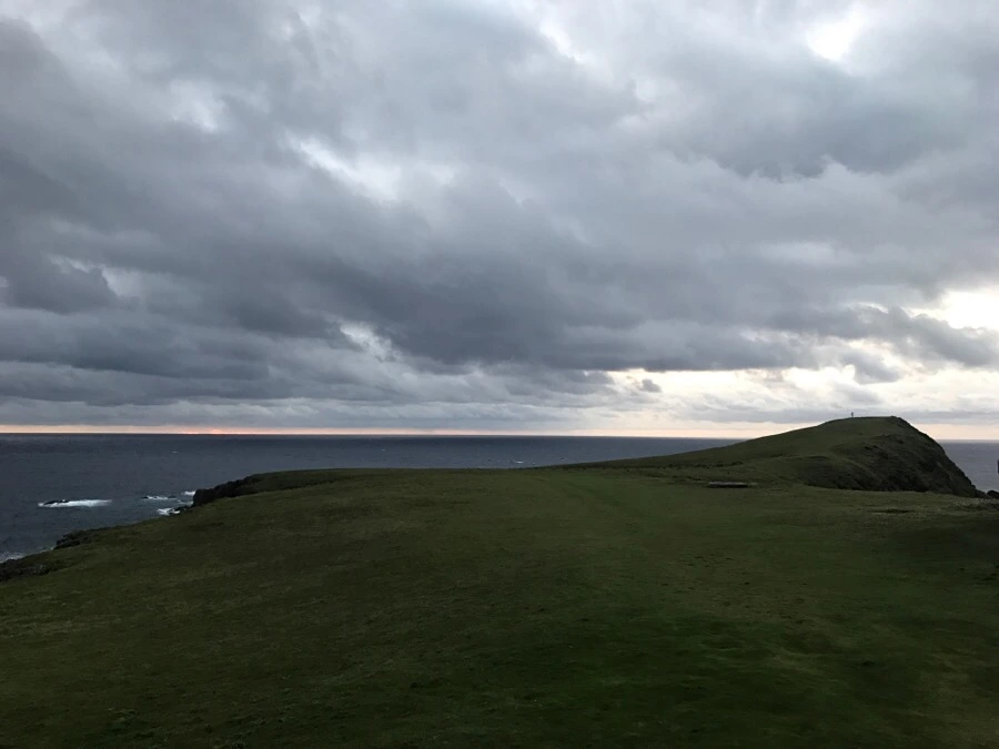 IMG_1513.jpg?type=w966