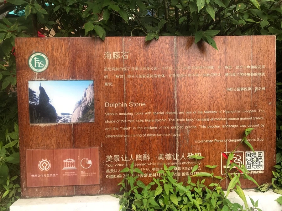 IMG_0889.jpg?type=w966