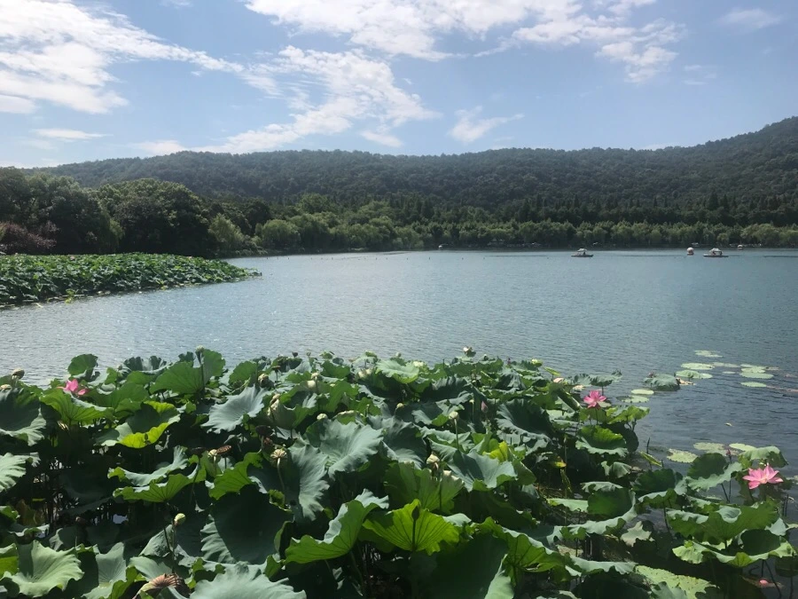 IMG_1188.jpg?type=w1