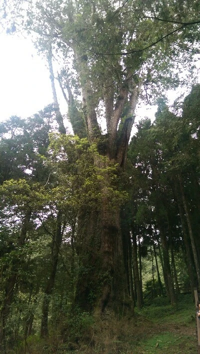 IMAG4936.jpg?type=w773