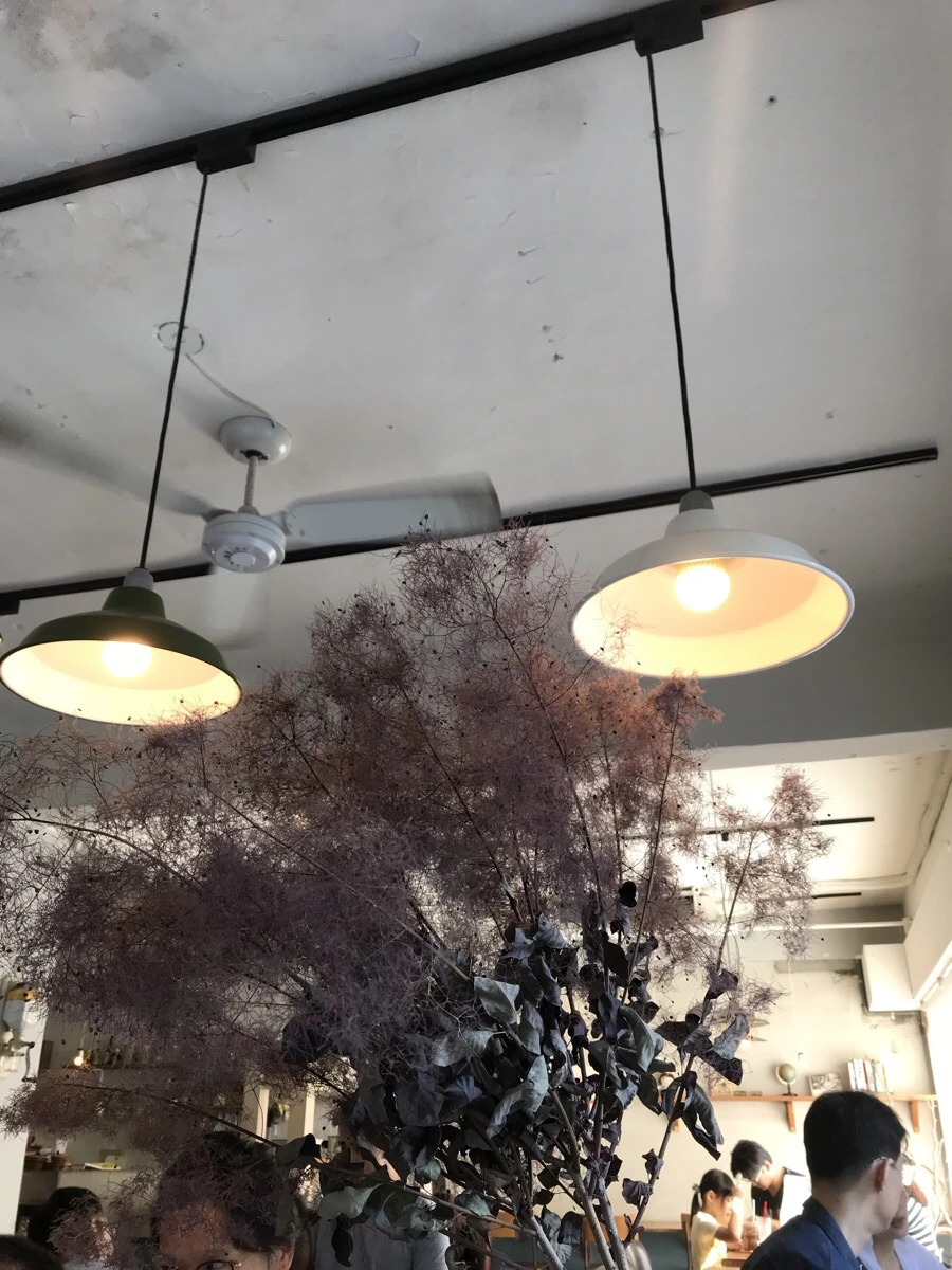 IMG_9620.jpg?type=w966