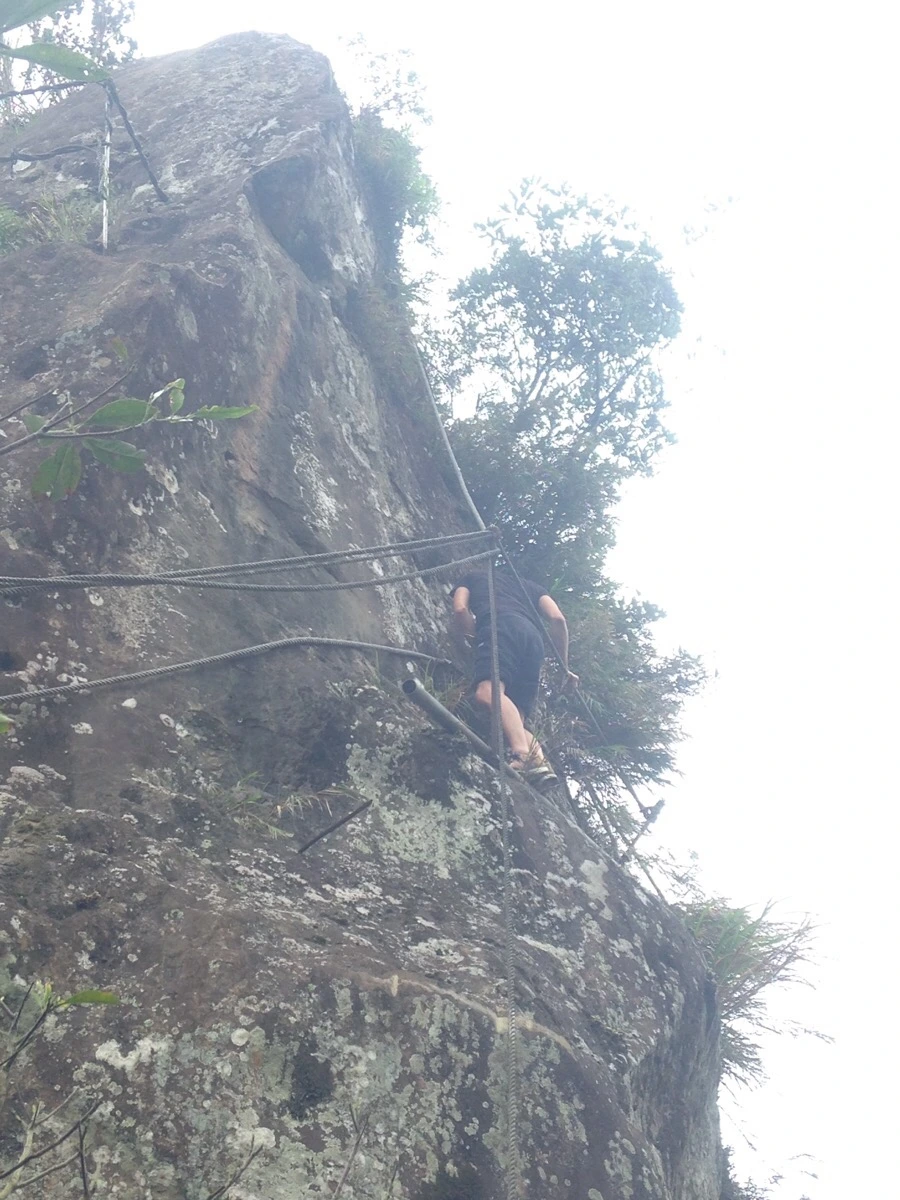 IMG_6950.jpg?type=w966