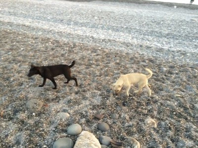 IMG_6305.JPG?type=w2