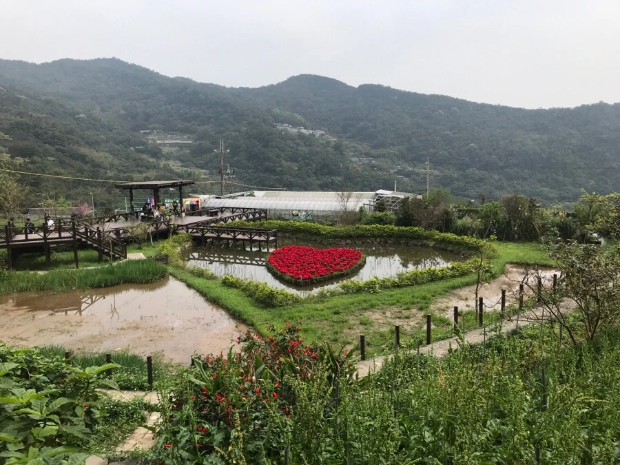 IMG_0039.jpg?type=w966