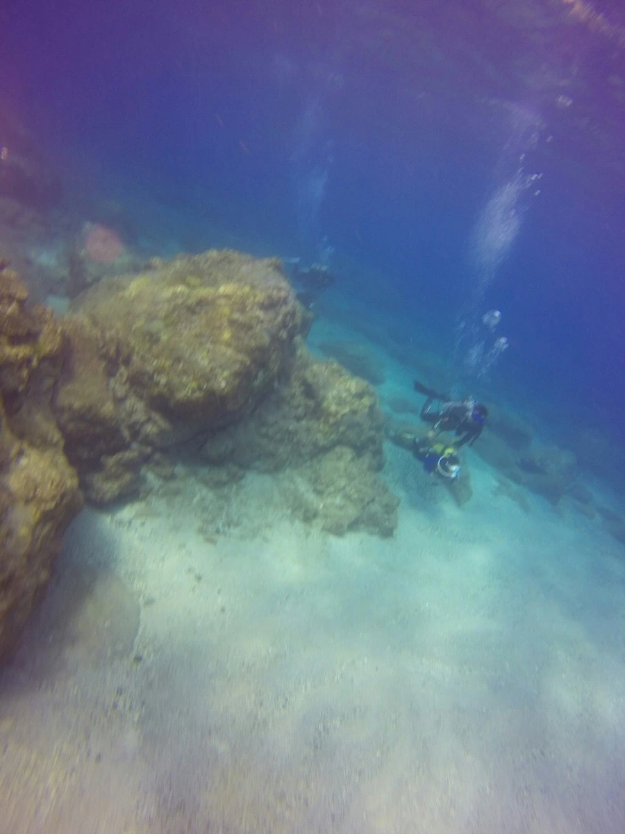 IMG_3607.jpg?type=w966