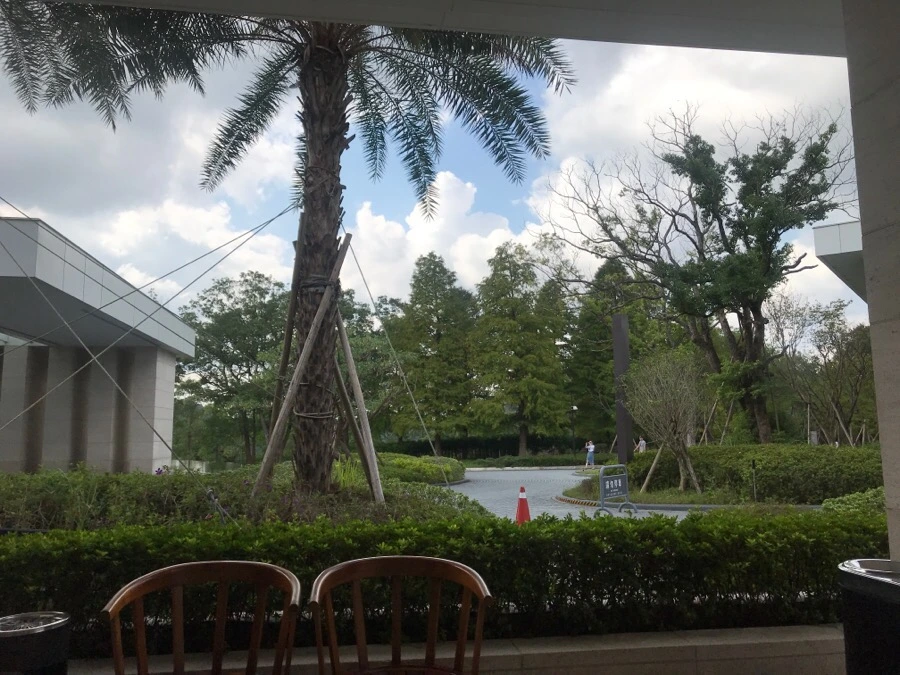 IMG_5334.jpg?type=w966