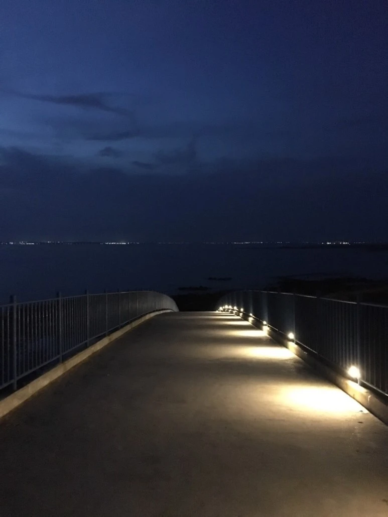 attachImage_3120901579.jpeg?type=w773