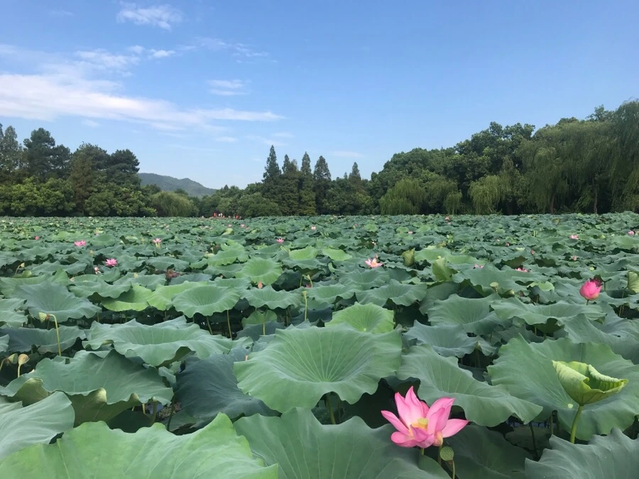 IMG_1147.jpg?type=w1