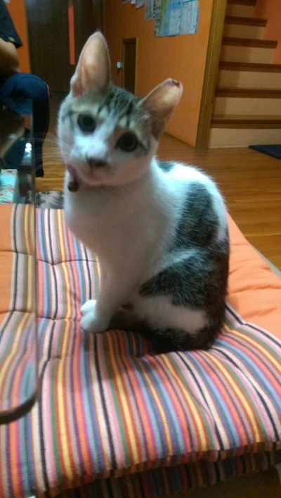 IMAG3387.jpg?type=w2