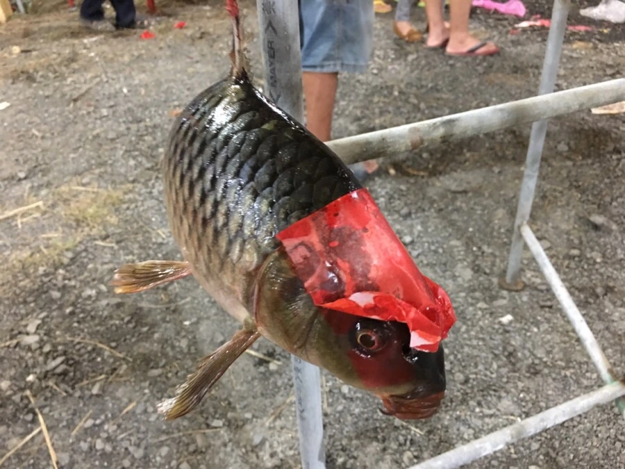 attachImage_1581005918.jpeg?type=w966